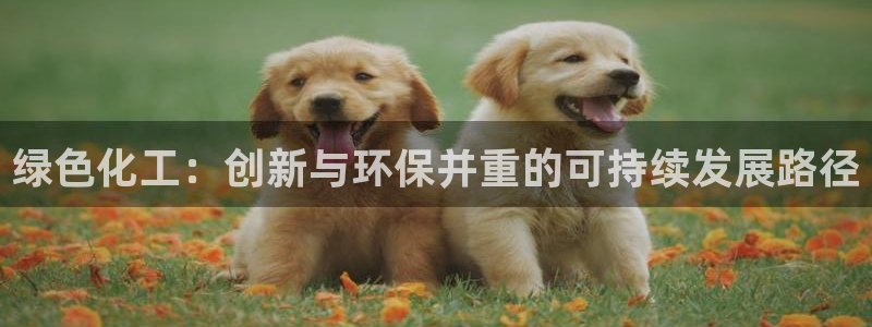 亿万城市手游官网:绿色化工:创新与环保并重的可持续发展路径